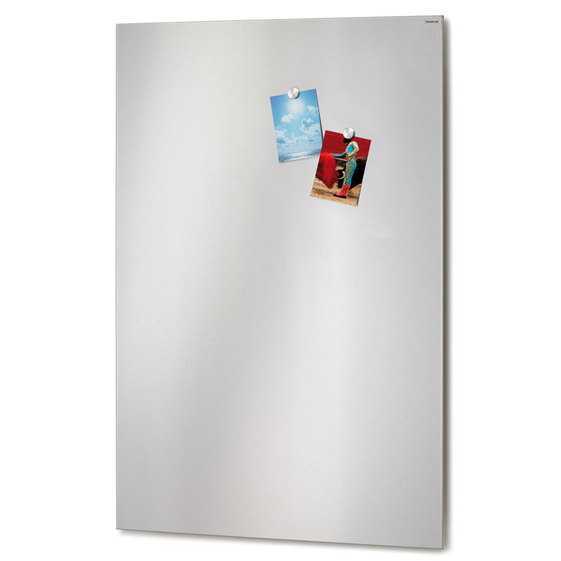 Muro Wall Mounted Bulletin Board & Reviews AllModern